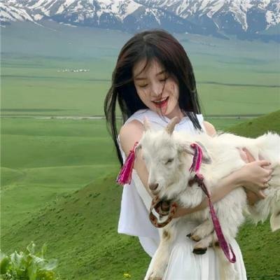 毒战海报